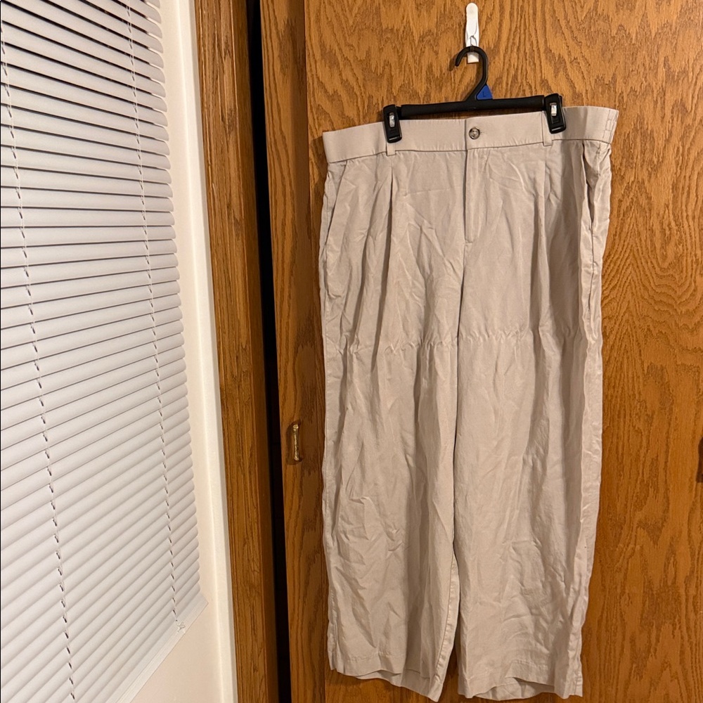 Torrid Beige Wide Leg Pants
